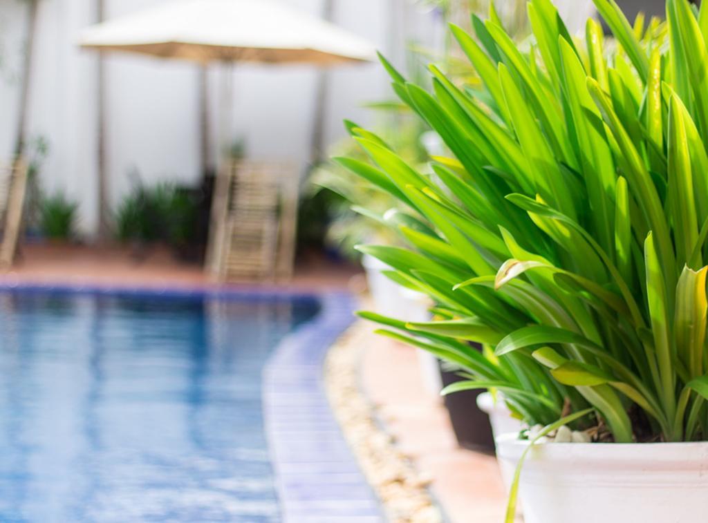 Overflow Guesthouse Siem Reap Eksteriør bilde